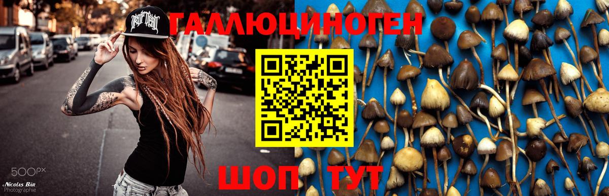 Псилоцибиновые грибы ЛСД Брянск